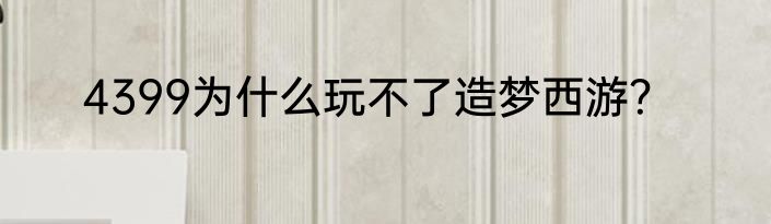 4399为什么玩不了造梦西游？