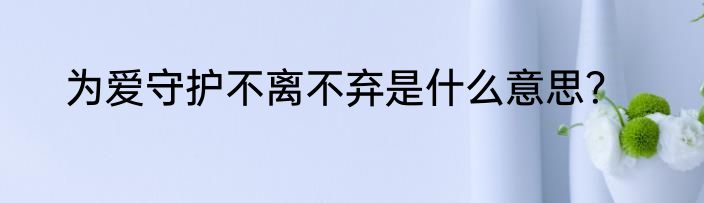 为爱守护不离不弃是什么意思？