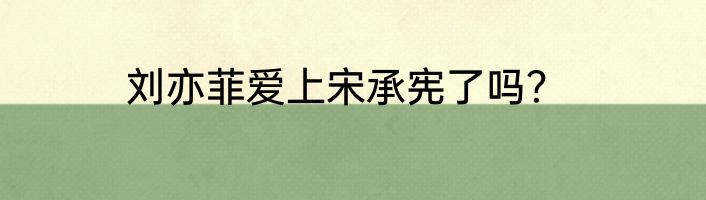 刘亦菲爱上宋承宪了吗？