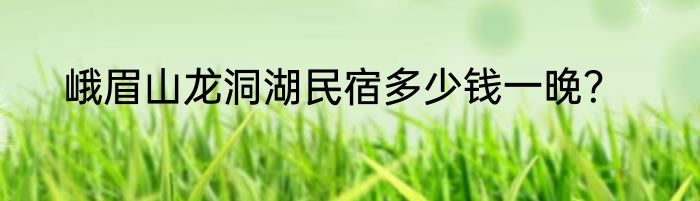 峨眉山龙洞湖民宿多少钱一晚？