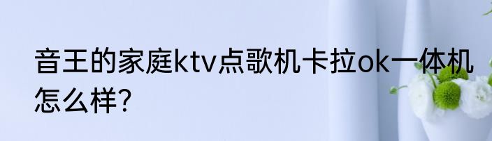 音王的家庭ktv点歌机卡拉ok一体机怎么样？