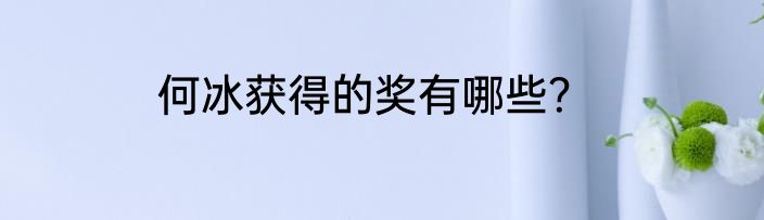 何冰获得的奖有哪些？