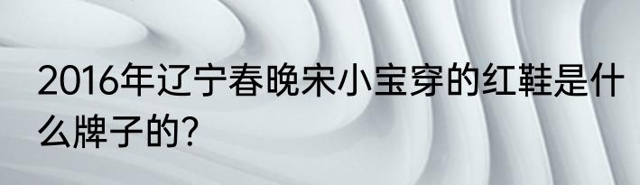 2016年辽宁春晚宋小宝穿的红鞋是什么牌子的？