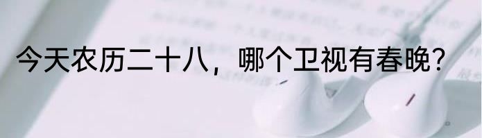 今天农历二十八，哪个卫视有春晚？