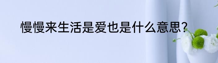 慢慢来生活是爱也是什么意思？
