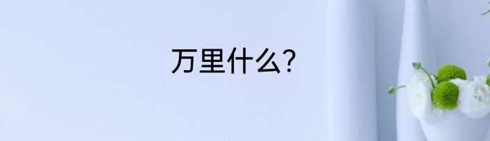 万里什么？