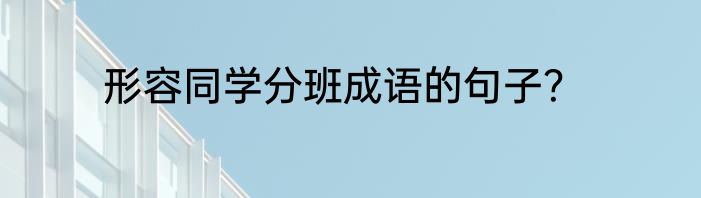 形容同学分班成语的句子？