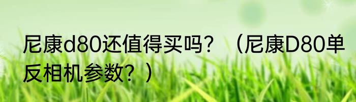 尼康d80还值得买吗？（尼康D80单反相机参数？）