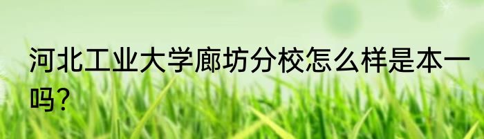 河北工业大学廊坊分校怎么样是本一吗？