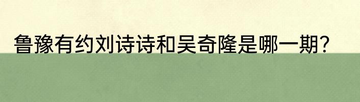 鲁豫有约刘诗诗和吴奇隆是哪一期？