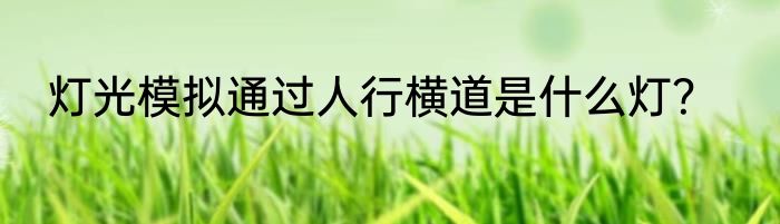 灯光模拟通过人行横道是什么灯？