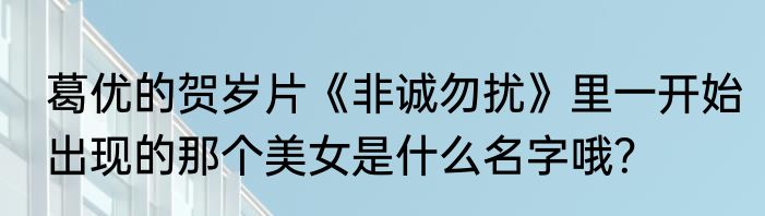 葛优的贺岁片《非诚勿扰》里一开始出现的那个美女是什么名字哦？