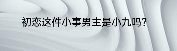 初恋这件小事男主是小九吗？