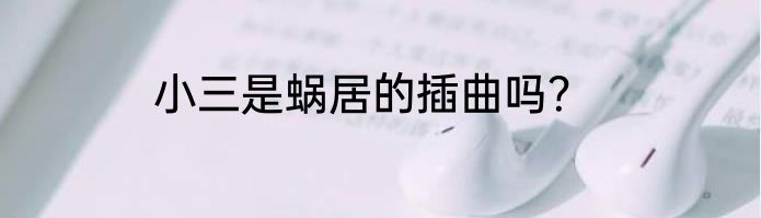 小三是蜗居的插曲吗？