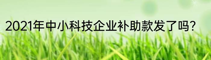 2021年中小科技企业补助款发了吗？