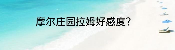 摩尔庄园拉姆好感度？