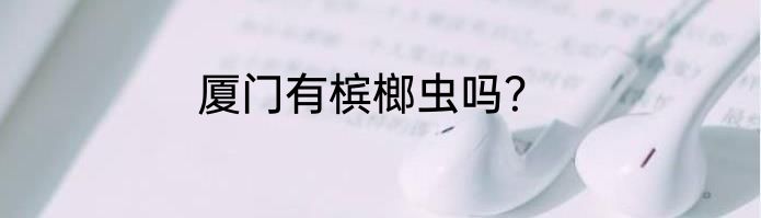 厦门有槟榔虫吗？