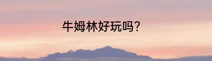 牛姆林好玩吗？