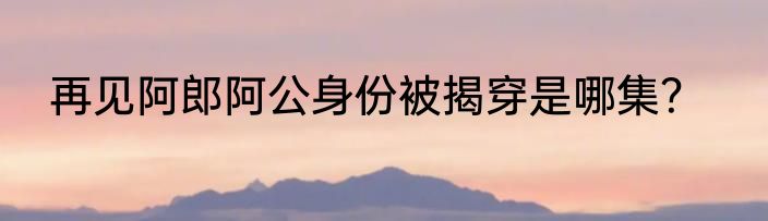再见阿郎阿公身份被揭穿是哪集？