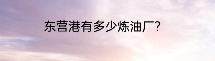 东营港有多少炼油厂？