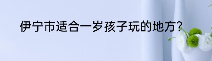 伊宁市适合一岁孩子玩的地方？