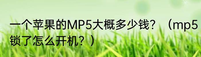 一个苹果的MP5大概多少钱？（mp5锁了怎么开机？）