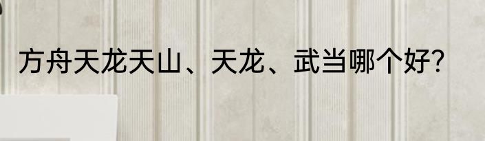 方舟天龙天山、天龙、武当哪个好？