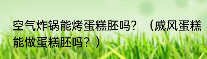 空气炸锅能烤蛋糕胚吗？（戚风蛋糕能做蛋糕胚吗？）