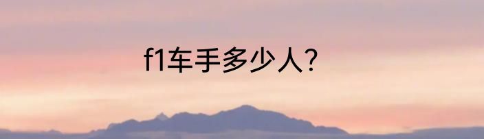 f1车手多少人？