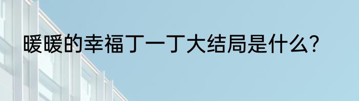 暖暖的幸福丁一丁大结局是什么？