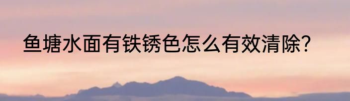 鱼塘水面有铁锈色怎么有效清除？