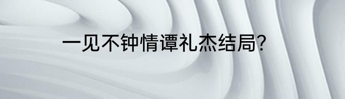 一见不钟情谭礼杰结局？