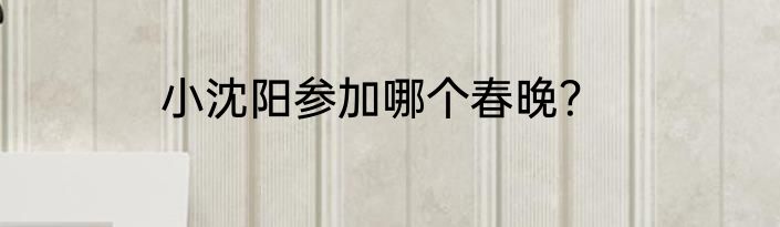 小沈阳参加哪个春晚？