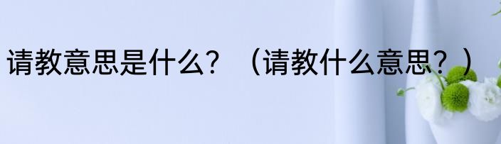 请教意思是什么？（请教什么意思？）