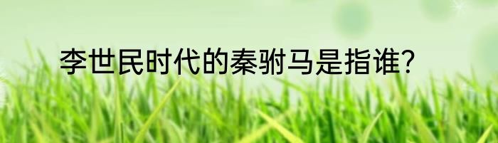 李世民时代的秦驸马是指谁？