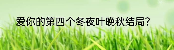 爱你的第四个冬夜叶晚秋结局？