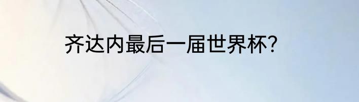 齐达内最后一届世界杯？