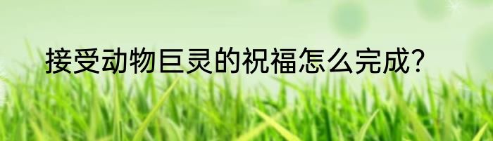 接受动物巨灵的祝福怎么完成？
