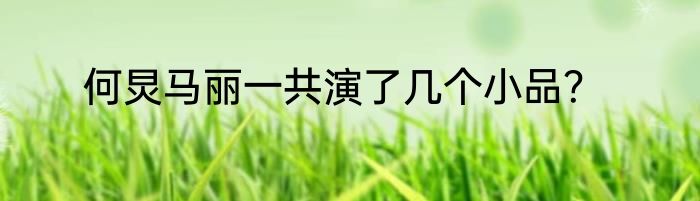 何炅马丽一共演了几个小品？