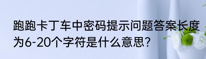 跑跑卡丁车中密码提示问题答案长度为6-20个字符是什么意思？