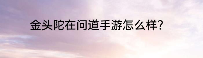 金头陀在问道手游怎么样？