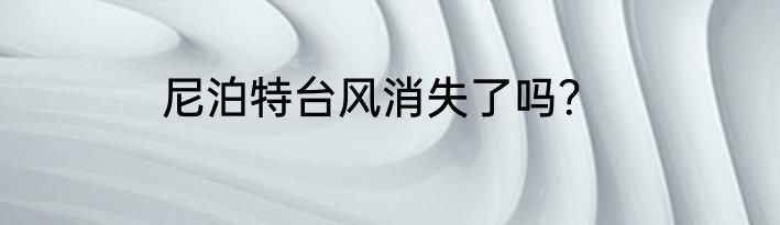 尼泊特台风消失了吗？