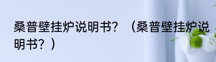 桑普壁挂炉说明书？（桑普壁挂炉说明书？）