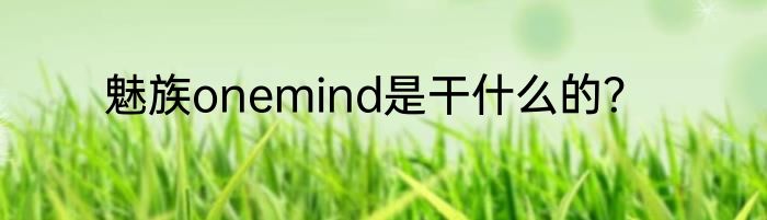 魅族onemind是干什么的？