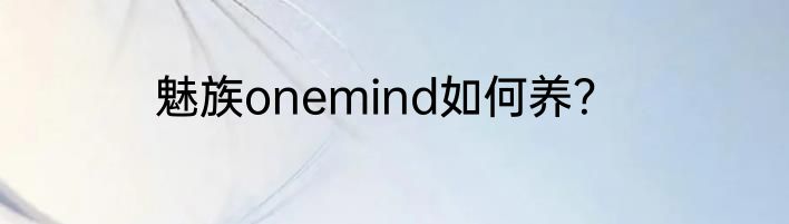 魅族onemind如何养？