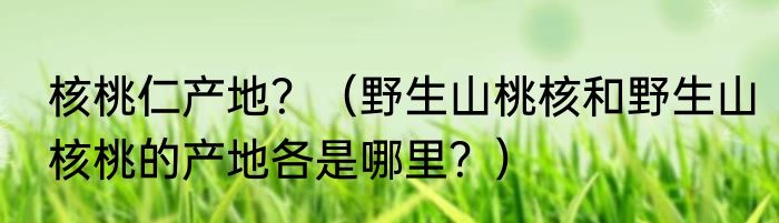 核桃仁产地？（野生山桃核和野生山核桃的产地各是哪里？）