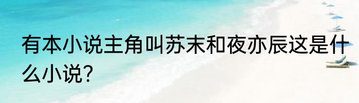 有本小说主角叫苏末和夜亦辰这是什么小说？