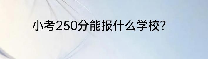 小考250分能报什么学校？