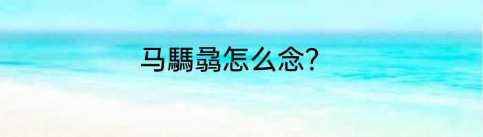 马騳骉怎么念？