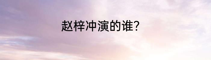 赵梓冲演的谁？